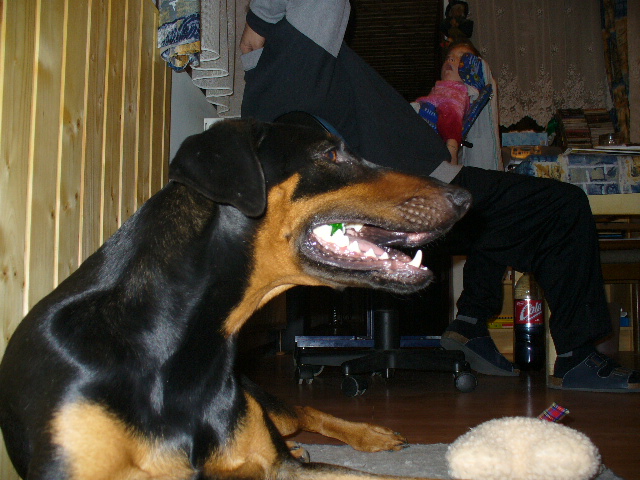 akdeuc648rhyw4z52.jpg