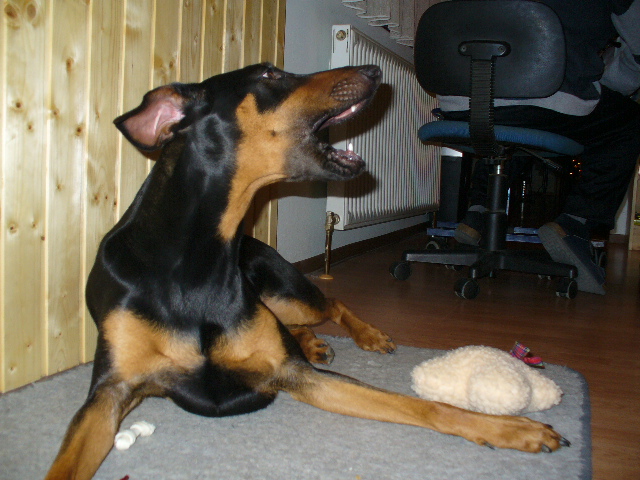 akdeusk470xobcicm.jpg
