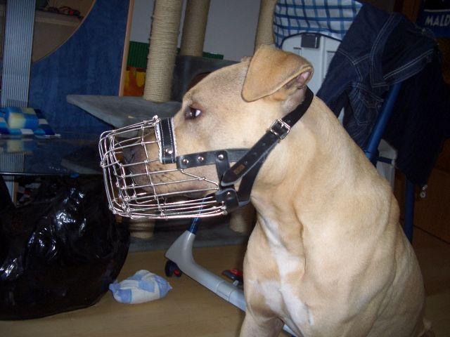 akhfm9xqg0z2l9oym.jpg