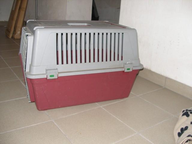 aki6gfto66csp7umh.jpg