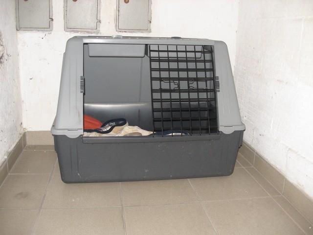 aki6iie8obkmr0lhl.jpg