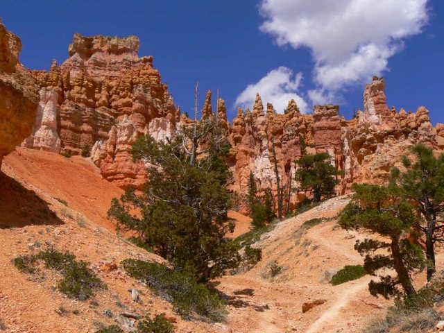 Durch die Nationalparks des Westens  Amerika-Forum