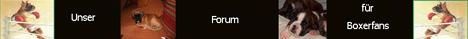 Boxerfan-Forum