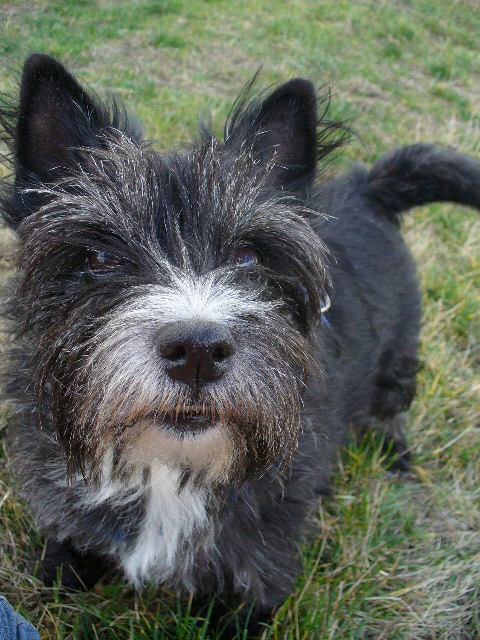 akygtqp1qx8wuxwx2.jpg