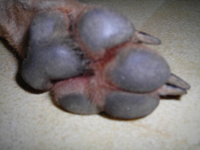 al7l98ly2t1u84kg6.jpg