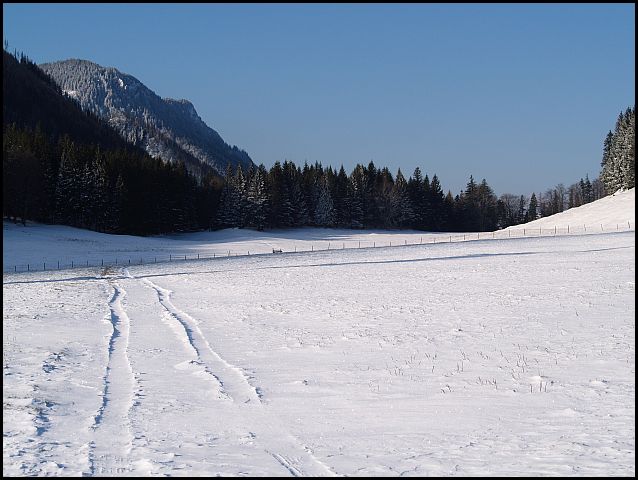 alaiu4dm7o7m093c4.jpg