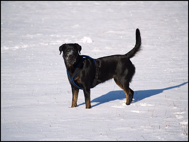 alaix5k9dqjy706qs.jpg