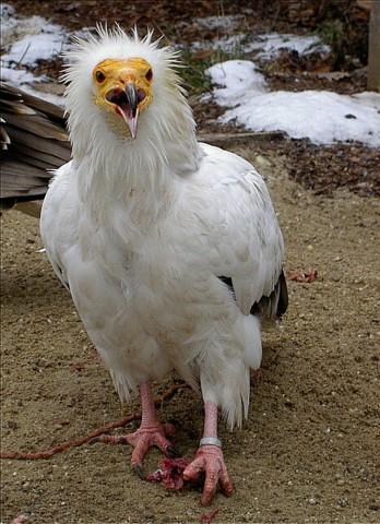 alavyf1w8dplr73hl.jpg