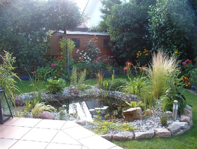 Pond Plants Image