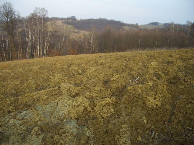 aloli20vln15fmnf3.jpg