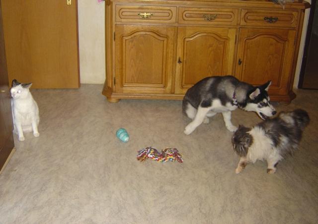 am06fppwl0dfamz3j.jpg