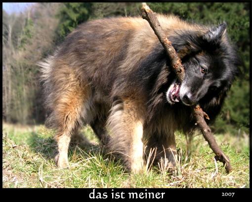 am33oiwajbf5jvfq4.jpg