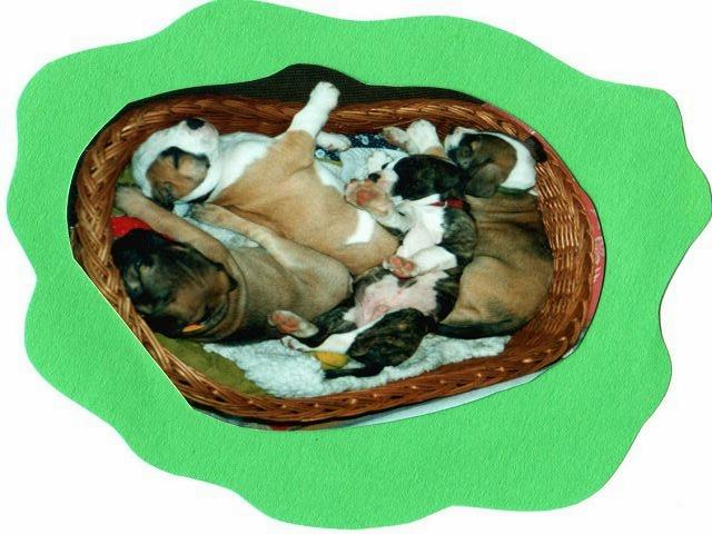 Bild
