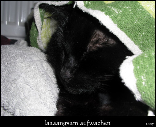 am68u0gkj67045azc.jpg
