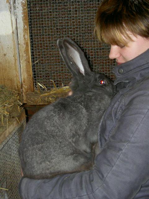Schlachtet kaninchen frau Kreisschau in