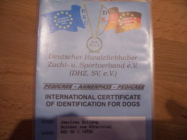 Bild