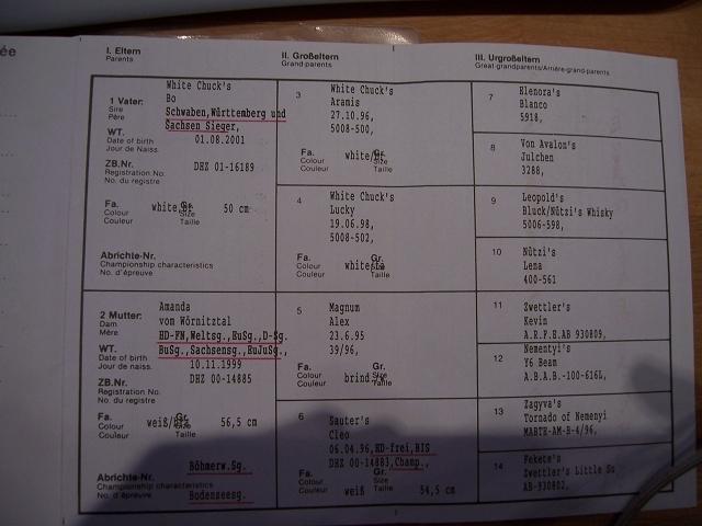 Bild