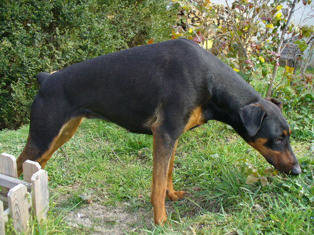 ancmb564x8jct30me.jpg