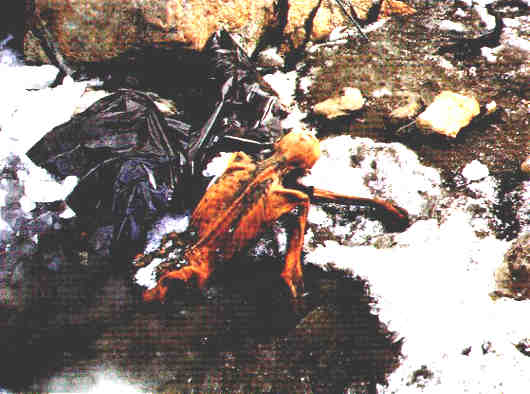 [Resim: and3kf6v9x316ert7.jpg]