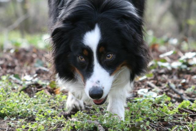 angxk9jshw0cv8q73.jpg