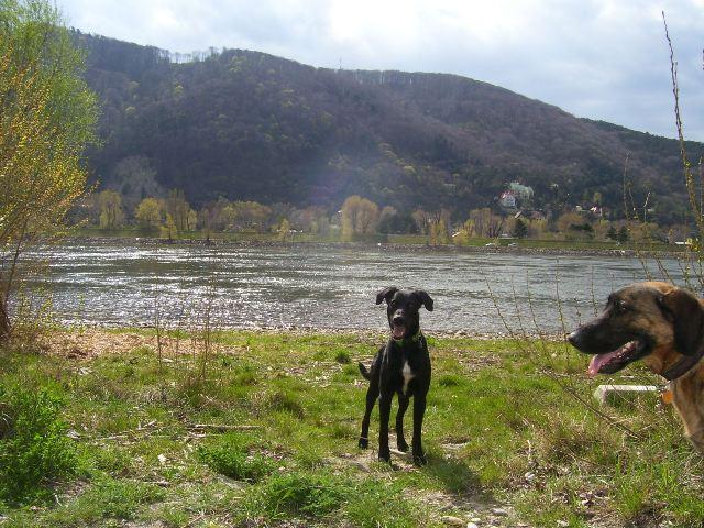 anjo8vkva4dm90slh.jpg