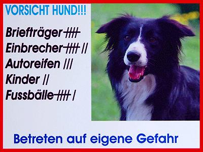 ao1sceir7g3gkp6sk.gif
