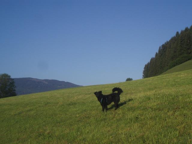 aogy5mum2906qms06.jpg
