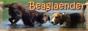 Beaglaender