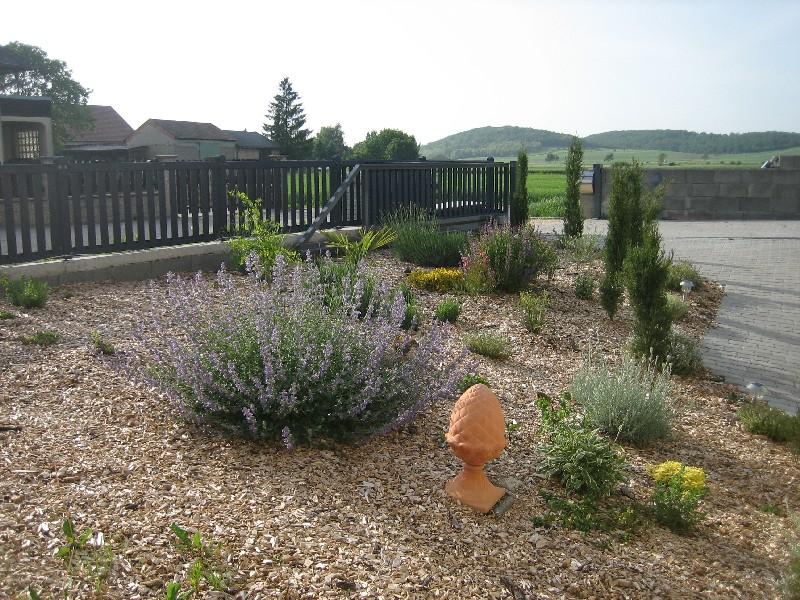 mediterraner vorgarten - aktuelle photos - Mein schöner Garten Forum