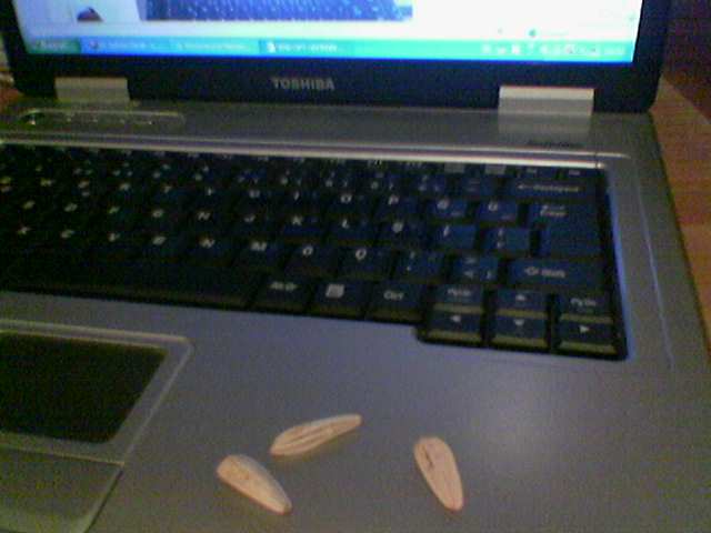 [Resim: apx733m6uybauerug.jpg]