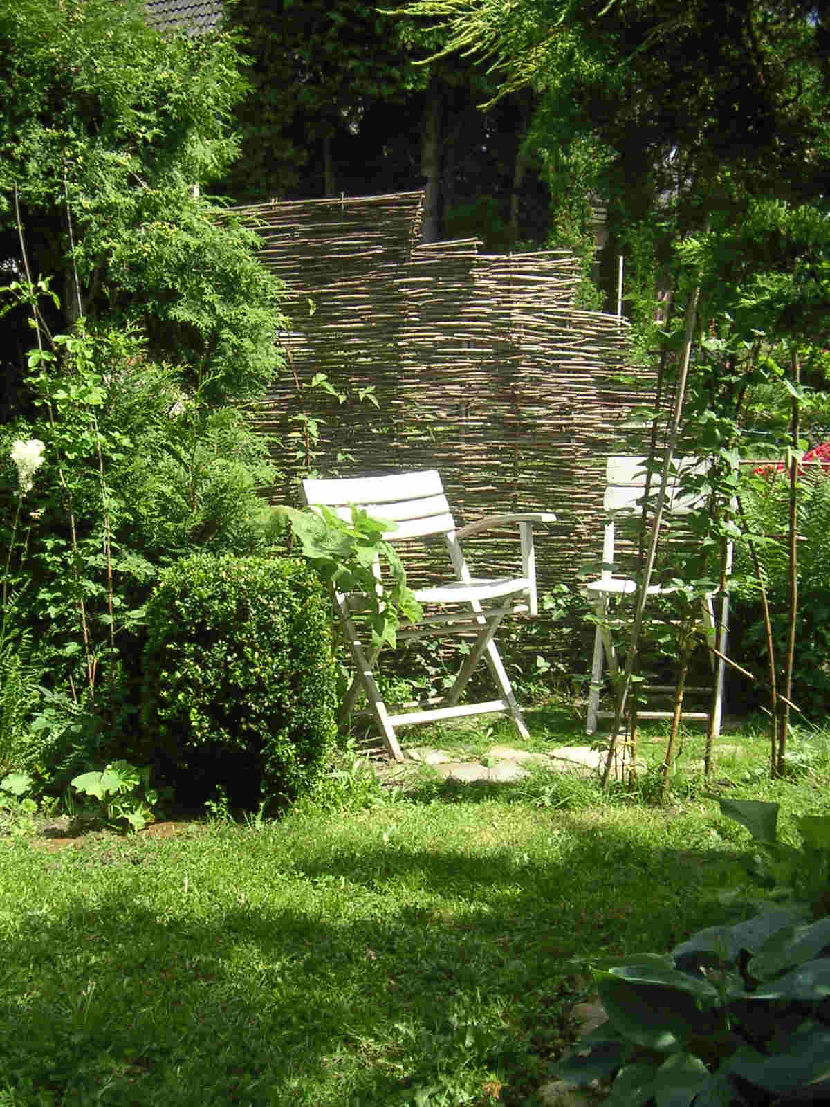 Weidenäste für einen Weidenzaun Mein schöner Garten Forum