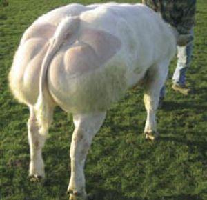 apyxa9fbh4bb4z7fn.jpg