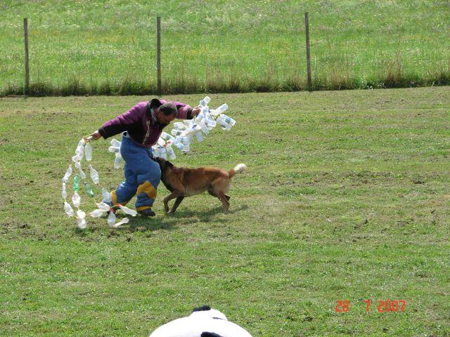aqhaqh6d8k40q1u2m.jpg