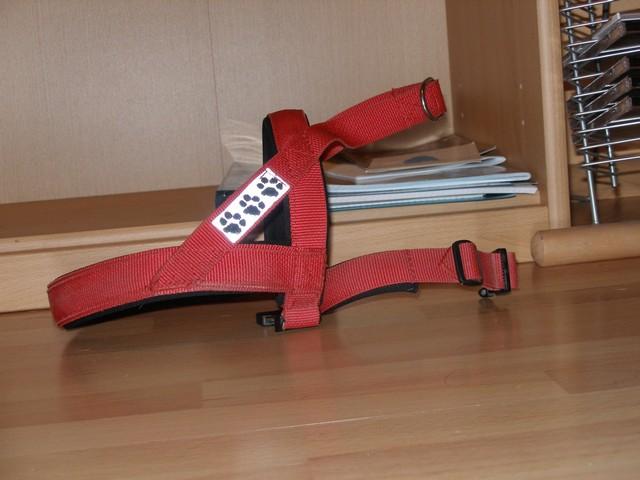 aqie41mk886aj53al.jpg