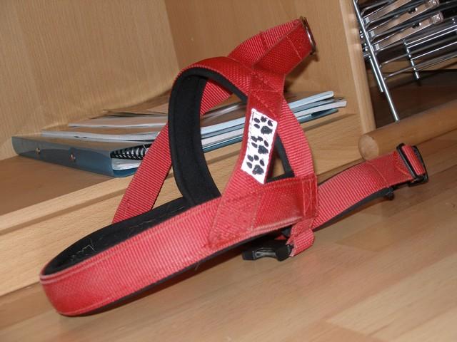 aqie4dkfs994vsru5.jpg