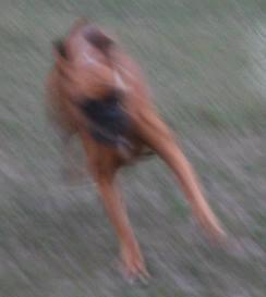aqzm6rlqjlec00ghk.jpg