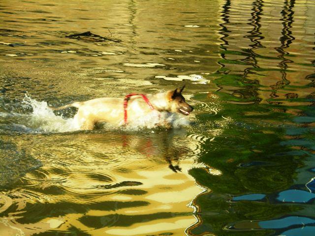 areiss7apup5ffm2u.jpg
