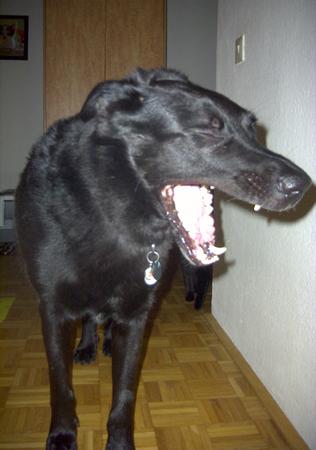 argjwberrji84kn56.jpg
