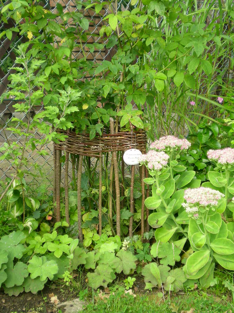 Rankgitter und Kugeln aus Weiden Mein schöner Garten Forum
