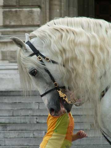 arqf9wmx2vhunukli.jpg