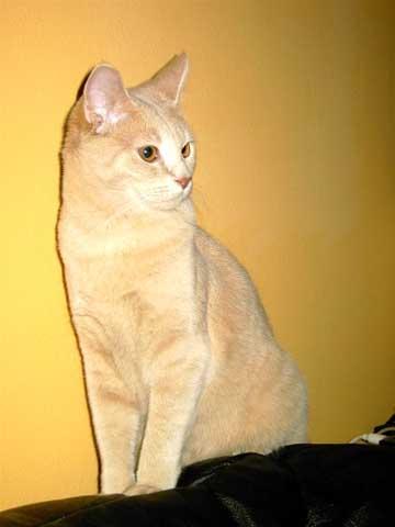 artisf3wisll9ku6c.jpg