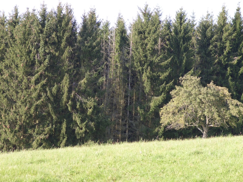 arz3jizr8iypk98an.jpg