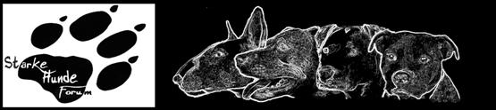 www.starke-hunde.at