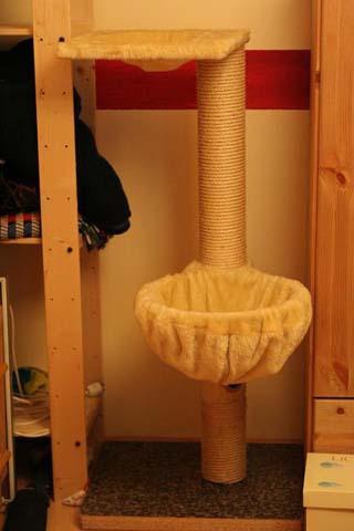 at34e9odby6lbza9m.jpg