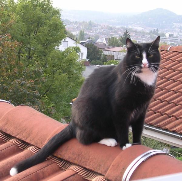 aui91jfak4q3nhski.jpg