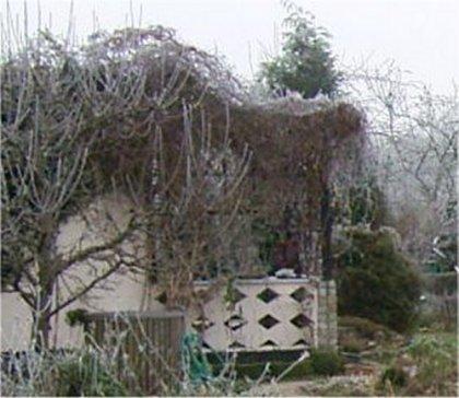 Pergola bauen - Mein schöner Garten Forum