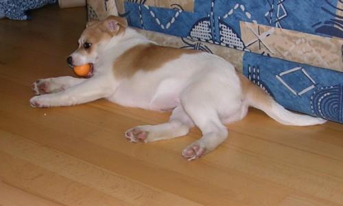 aut6mxbkfkxuhwfa2.jpg