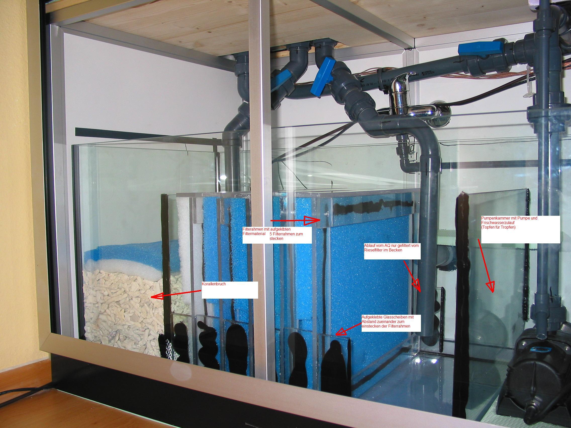 Ein Filterbecken Technik Cichlidenwelt Forum