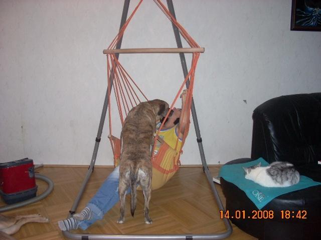 av9erxpkyx8enm288.jpg