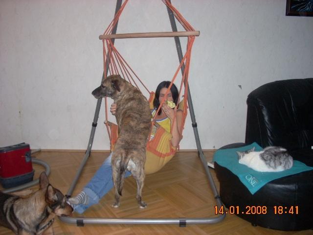 av9etkkzhycowcu6g.jpg